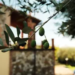 Σπίτι διακοπών Il Campo Degli Ulivi -skyline Siena-terrazza Panoramica - Relax - Parcheggio - 6 Ospiti