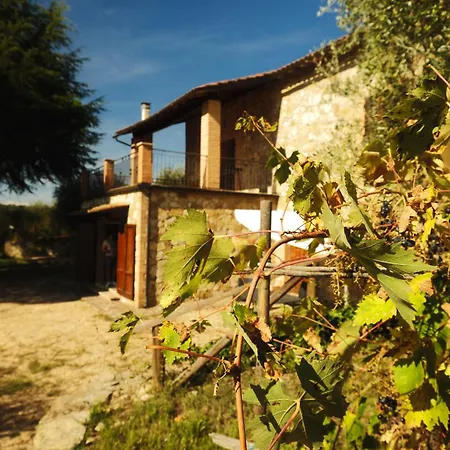 Il Campo Degli Ulivi -skyline Siena-terrazza Panoramica - Relax - Parcheggio - 6 Ospiti Vakantiehuis